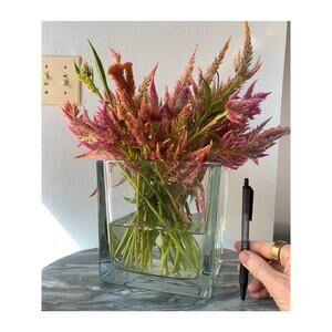 6" Hand-blown Clear Glass Cube Vase Seamless Centerpiece Weddings Events Floral